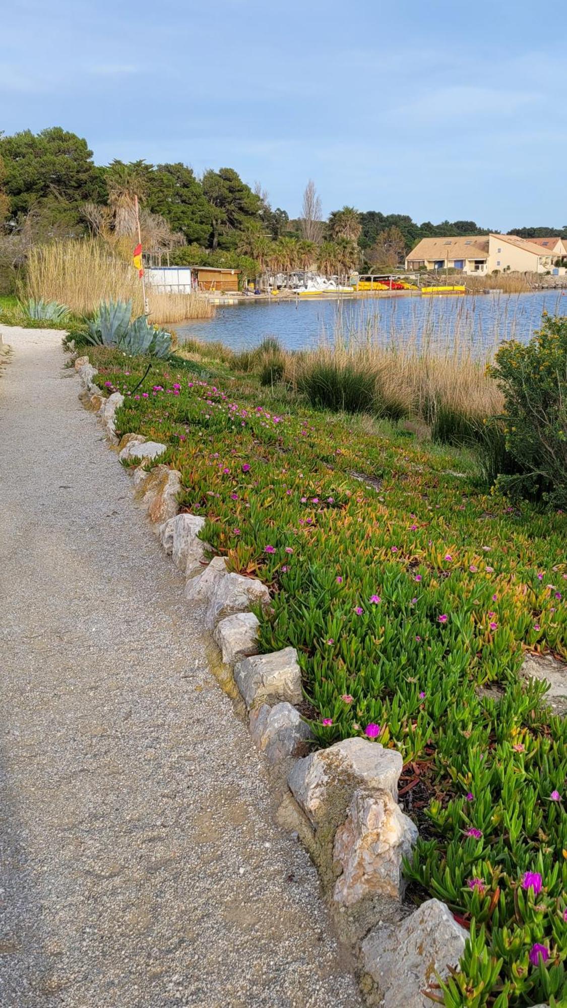 Maisonnette Au Bord De L Etang Leucate Exterior foto